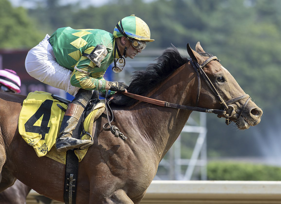 Chancer McPatrick, Caliente Thoroughbreds graduate